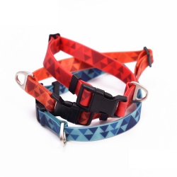 PVC Dog Collar for Large Dog Outdoor Adventure