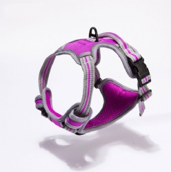 Reflective Pet harness for sports