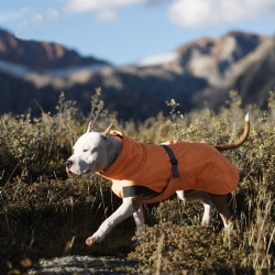 Explore waterproof Dog Jacket